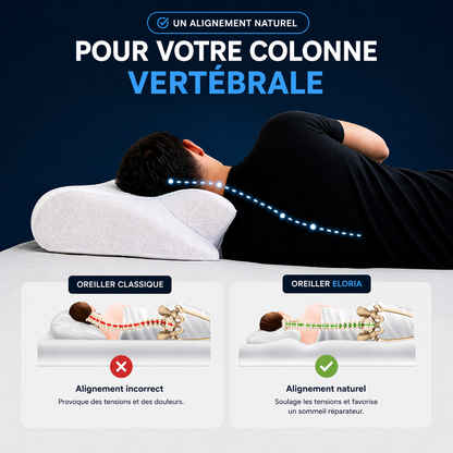 Oreiller ergonomique Eloria™